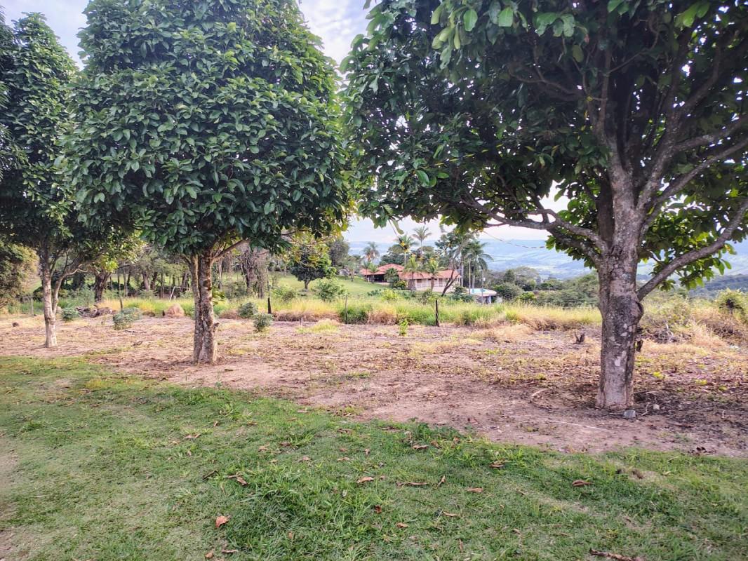 Fazenda, Zona Rural, 0 Quarto, 0 Vaga