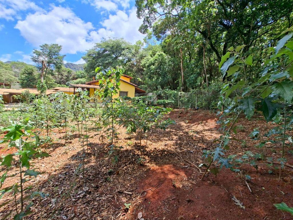 Lote, Casa Branca, 0 Quarto, 0 Vaga