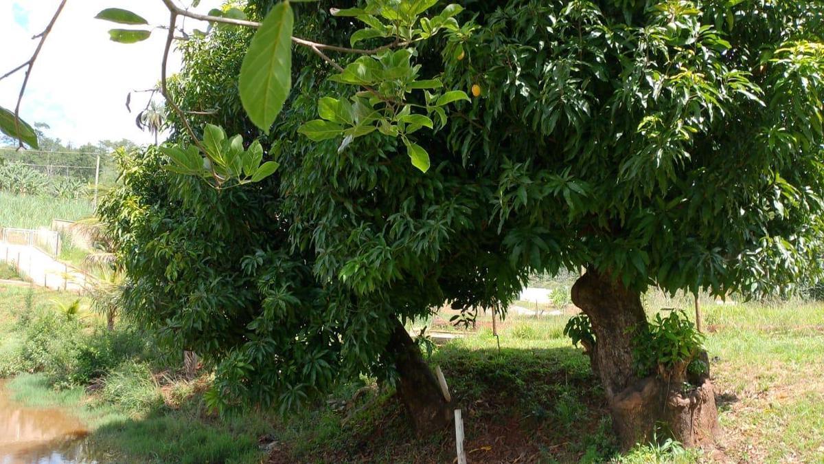 Lote, Ravena, 0 Quarto, 0 Vaga