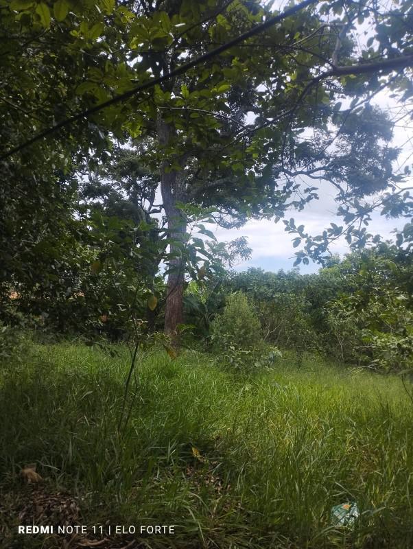 Fazenda, Centro, 0 Quarto, 0 Vaga