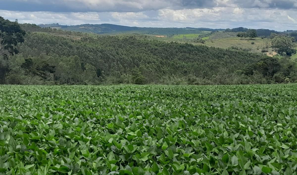 Fazenda, Zona Rural, 0 Quarto, 0 Vaga