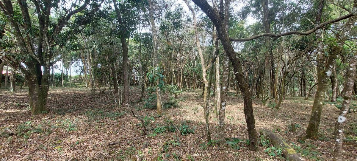 Lote, Acurui, 0 Quarto, 0 Vaga