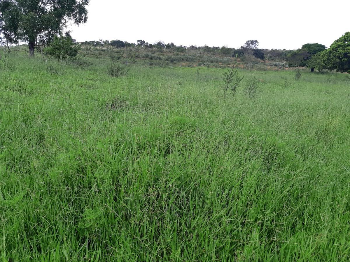 Fazenda, Centro, 3 Quartos, 0 Vaga