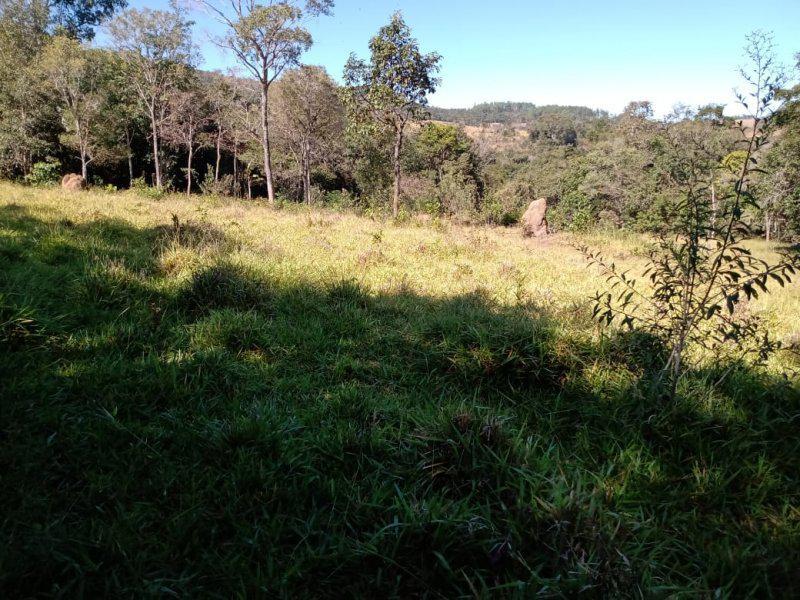 Lote, Centro, 0 Quarto, 0 Vaga