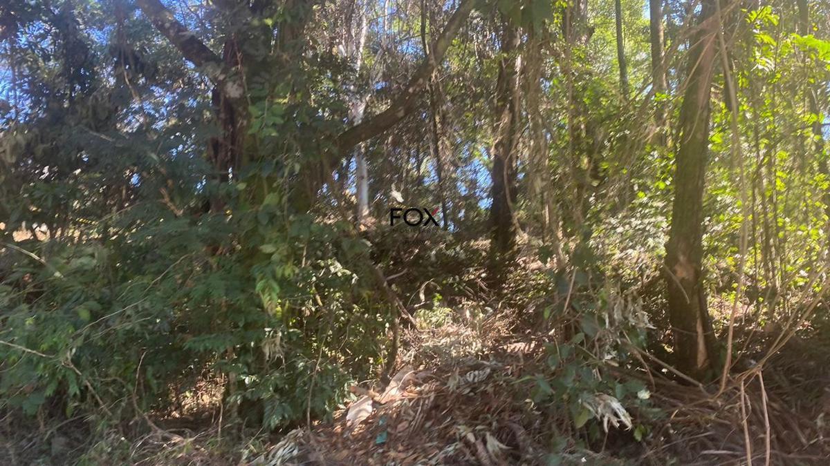 Lote, Quintas do Sol, 0 Quarto, 0 Vaga