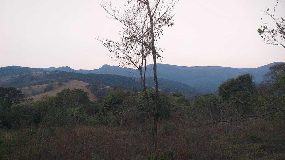 Lote, Piedade do Paraopeba, 0 Quarto, 0 Vaga