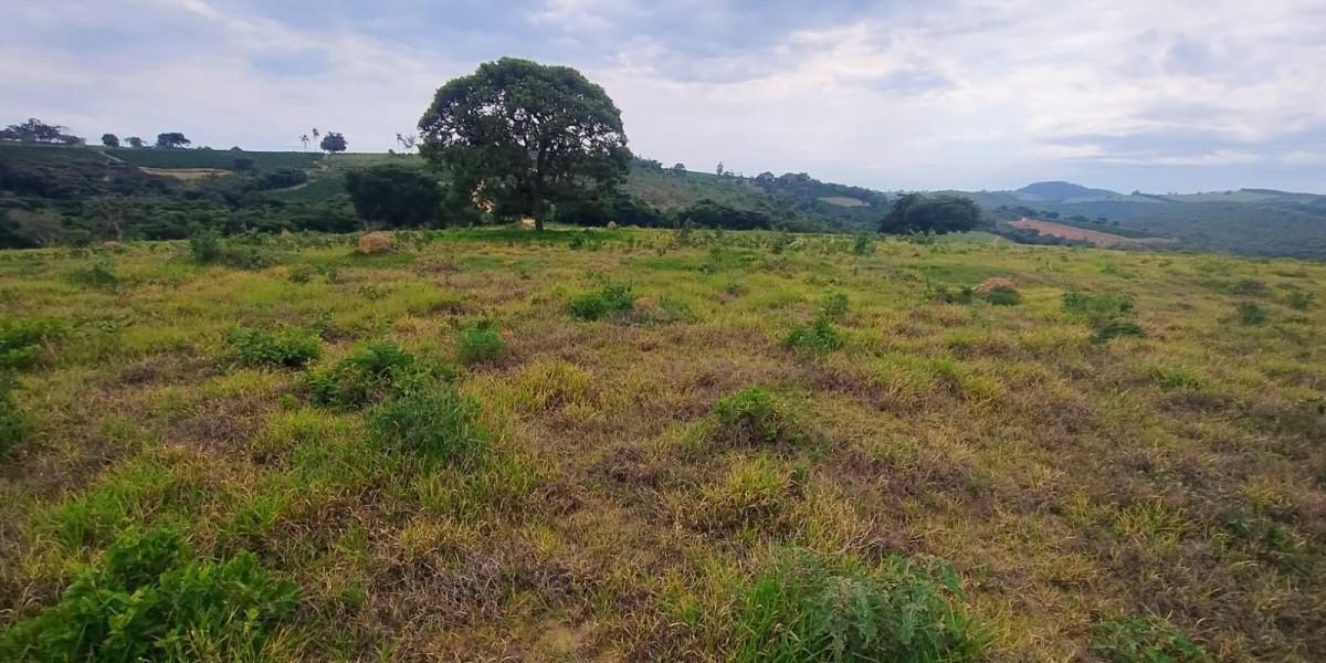 Fazenda, Zona Rural, 0 Quarto, 0 Vaga