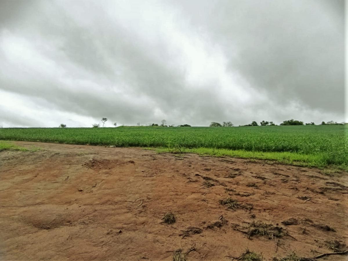 Fazenda, Centro, 0 Quarto, 0 Vaga, 1 Suíte