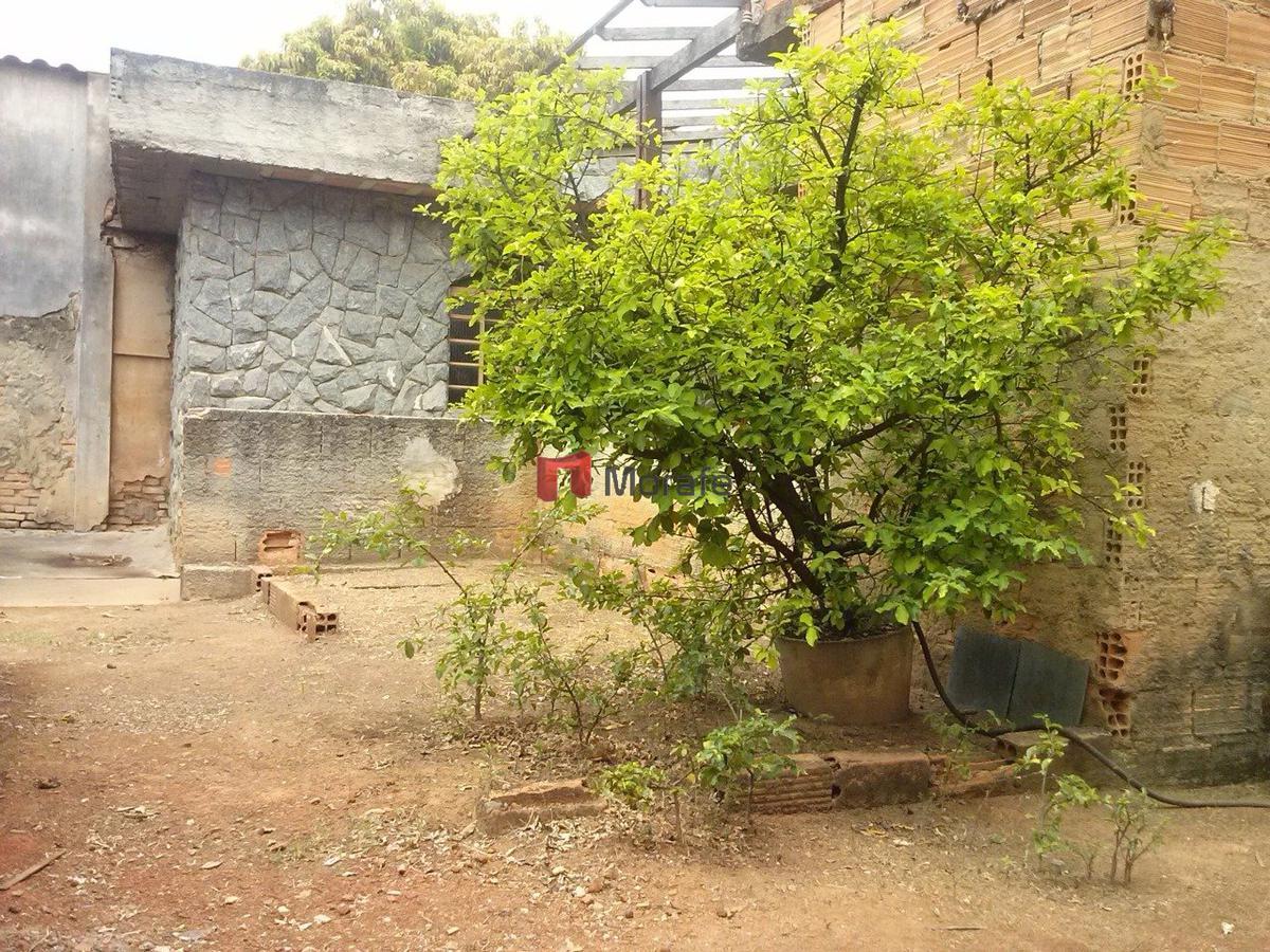 Lote, Santa Cruz, 0 Quarto, 0 Vaga