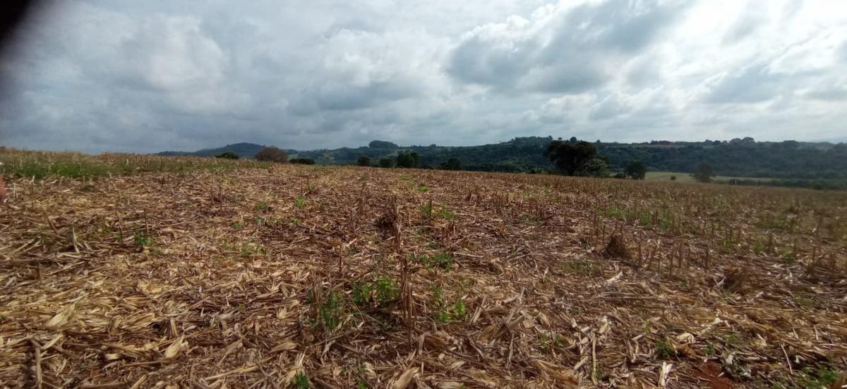 Fazenda, Zona Rural, 3 Quartos, 4 Vagas, 1 Suíte