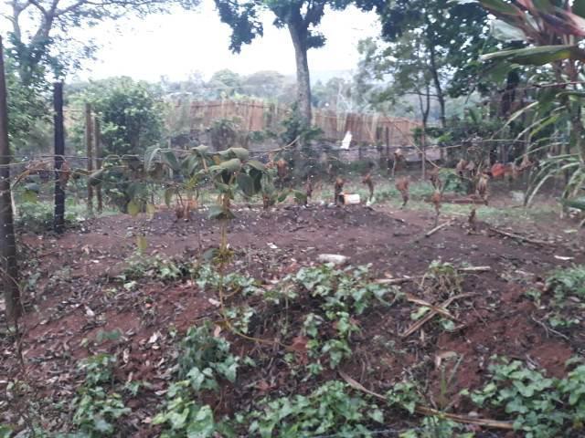 Fazenda, Quintas da Serra, 5 Quartos, 10 Vagas, 1 Suíte
