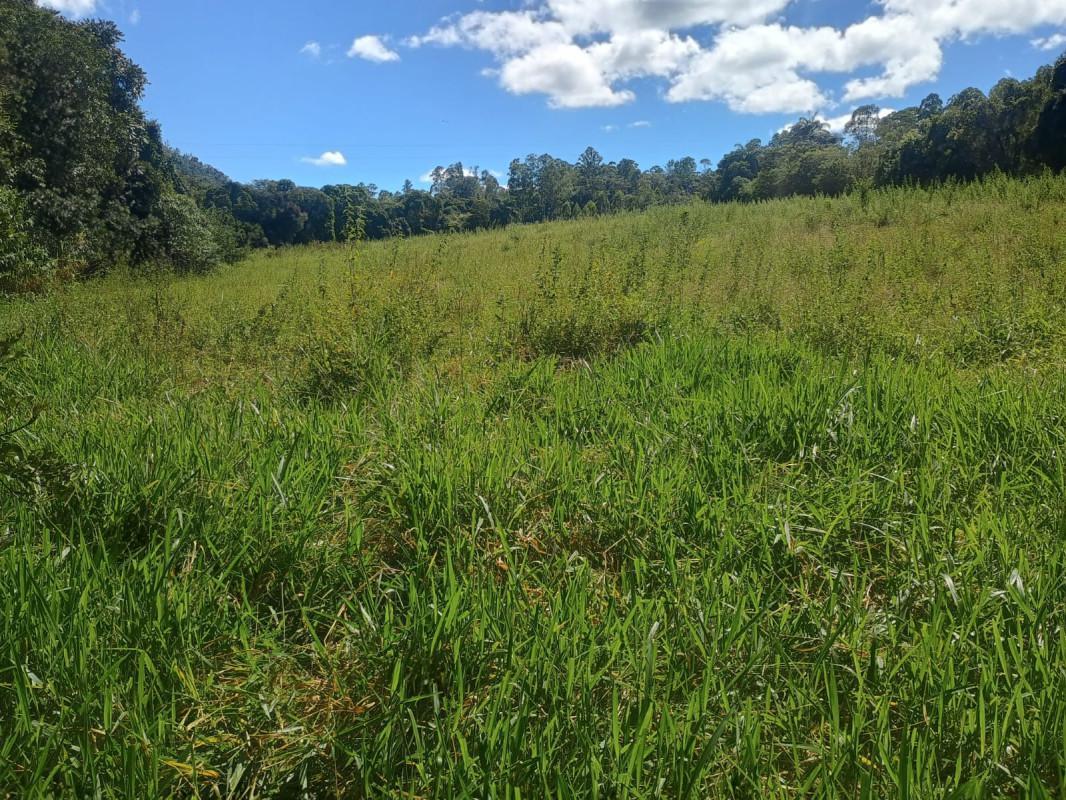 Fazenda, Centro, 0 Quarto, 0 Vaga
