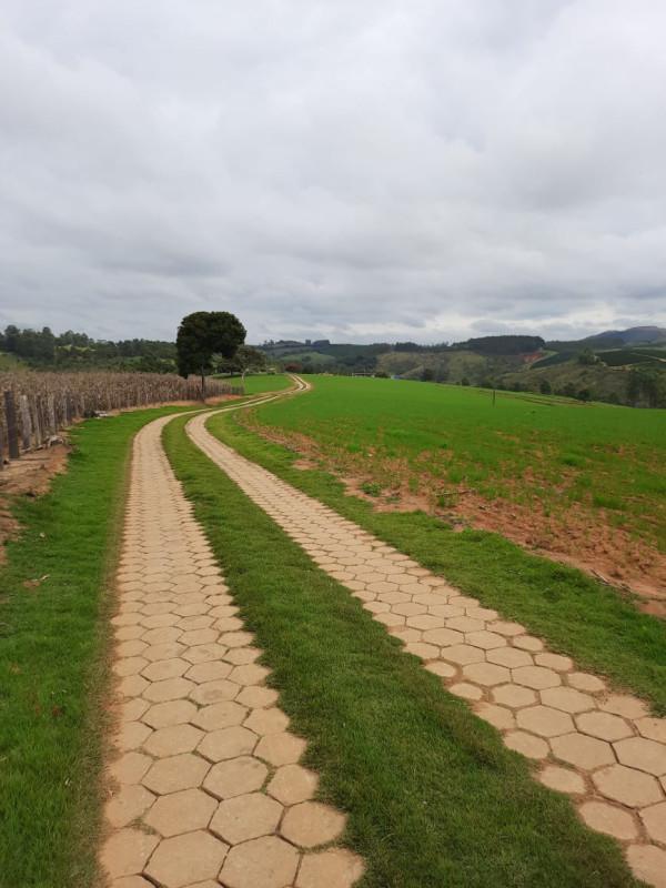 Fazenda, Centro, 4 Quartos, 0 Vaga