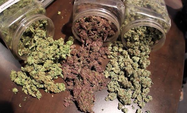 Compra e Venda de Skunk - Envio Pra Todas As Regiões do Brasil - E-mail: Skunklong@hotmail.com