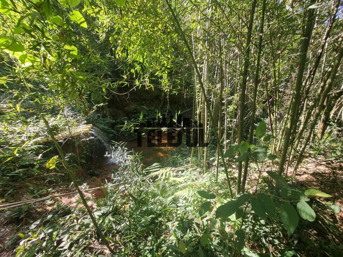 Fazenda, Zona Rural, 0 Quarto, 0 Vaga