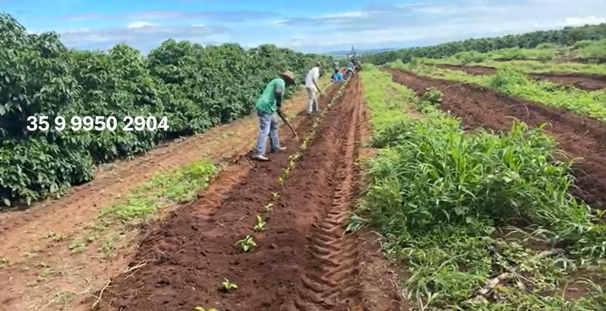 Fazenda, Zona Rural, 0 Quarto, 0 Vaga