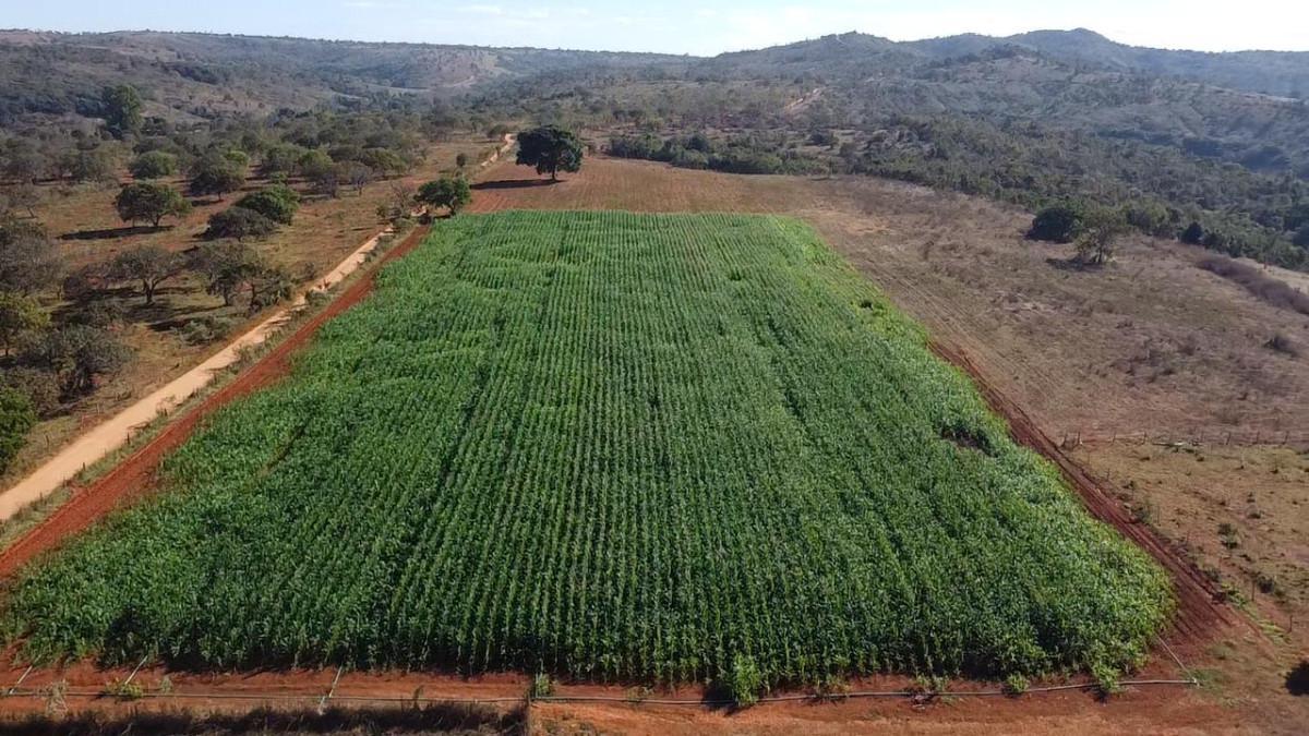Fazenda, Centro, 3 Quartos, 0 Vaga