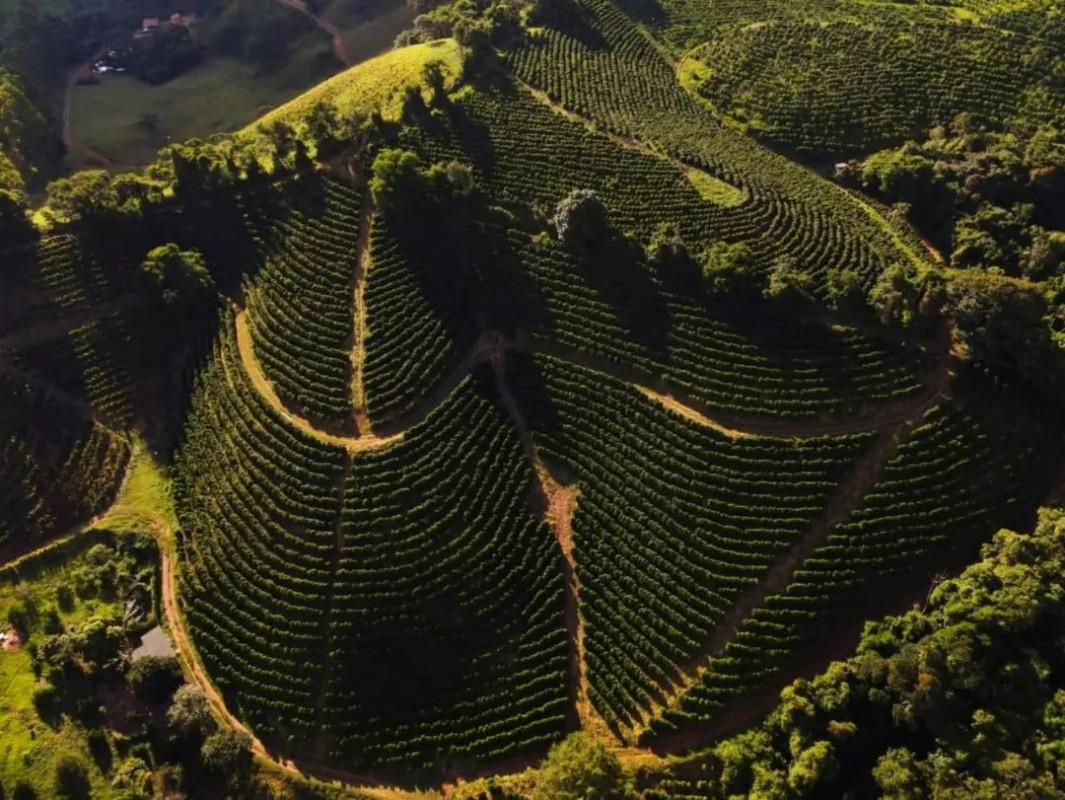 Fazenda, Zona Rural, 0 Quarto, 0 Vaga