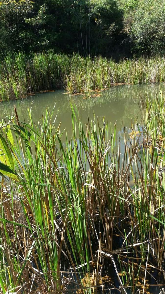 Lote, Zona Rural, 0 Quarto, 0 Vaga