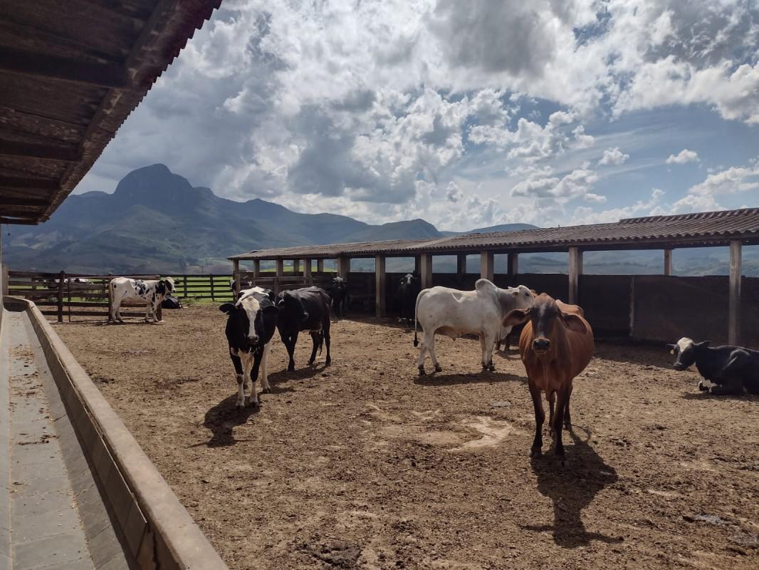 Fazenda, Centro, 3 Quartos, 1 Vaga