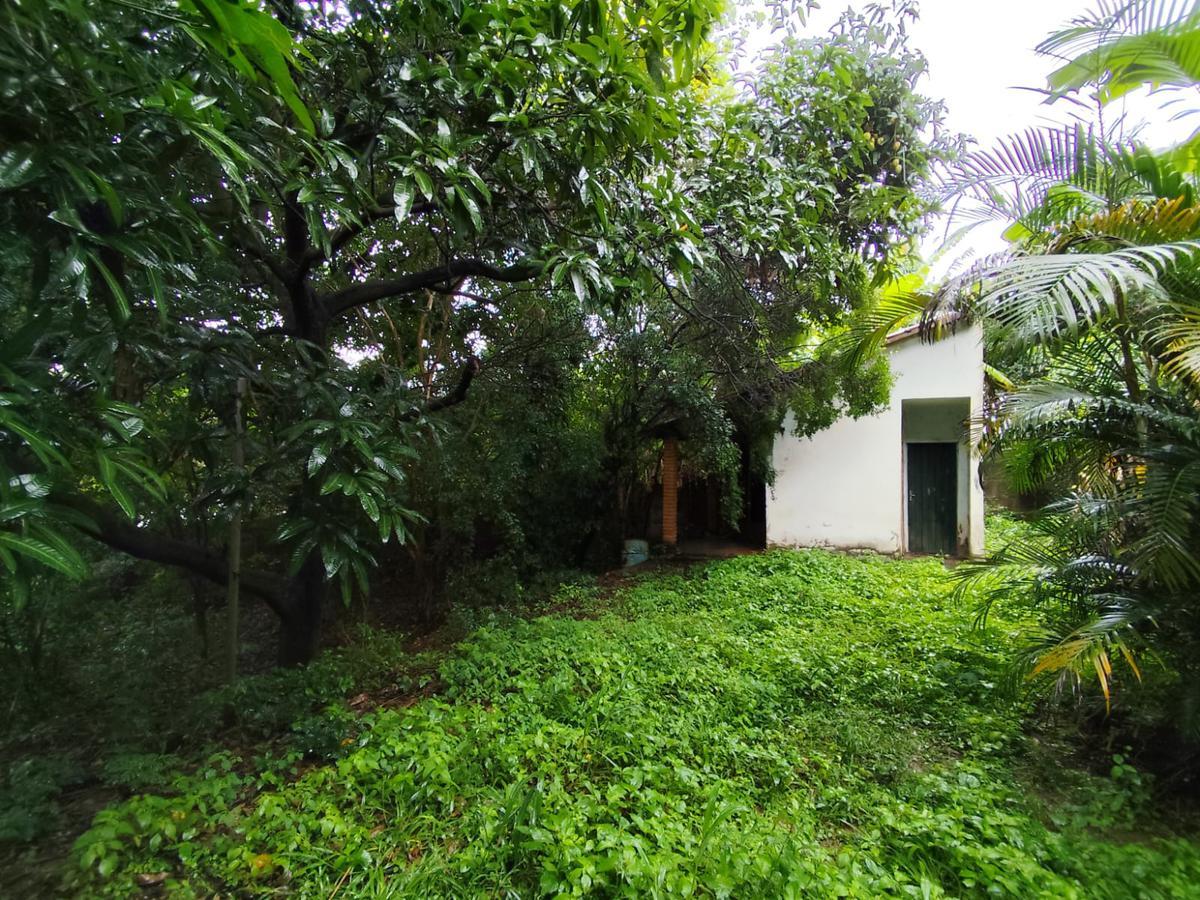 Lote, Trevo, 0 Quarto, 0 Vaga