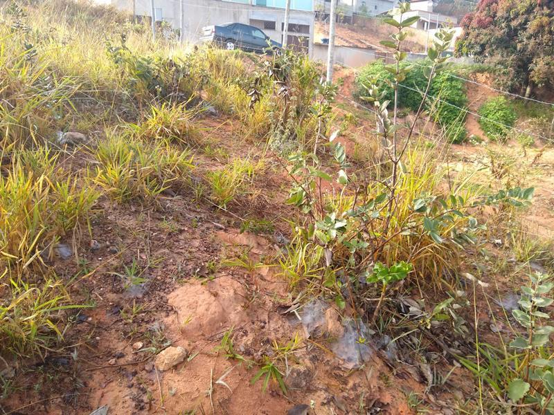 Lote, Icaivera, 0 Quarto, 0 Vaga