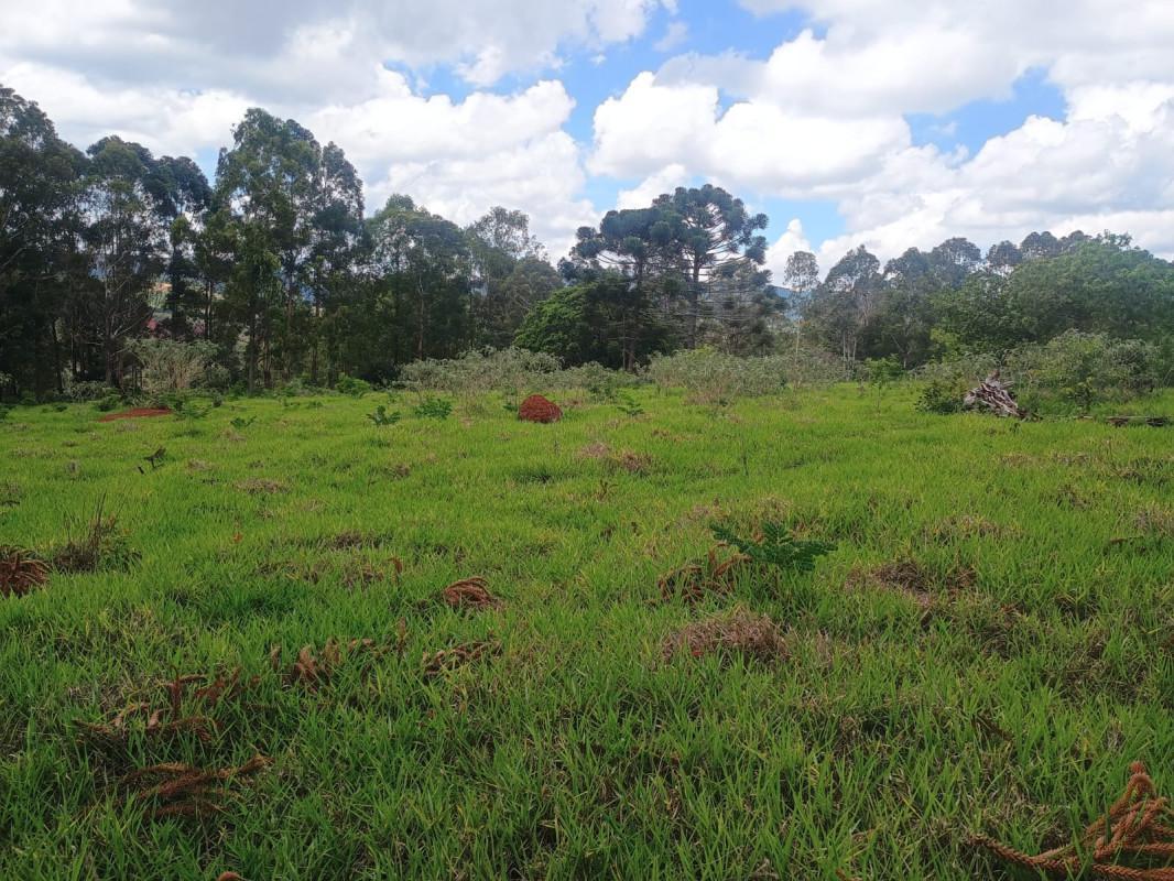 Fazenda, Zona Rural, 0 Quarto, 0 Vaga