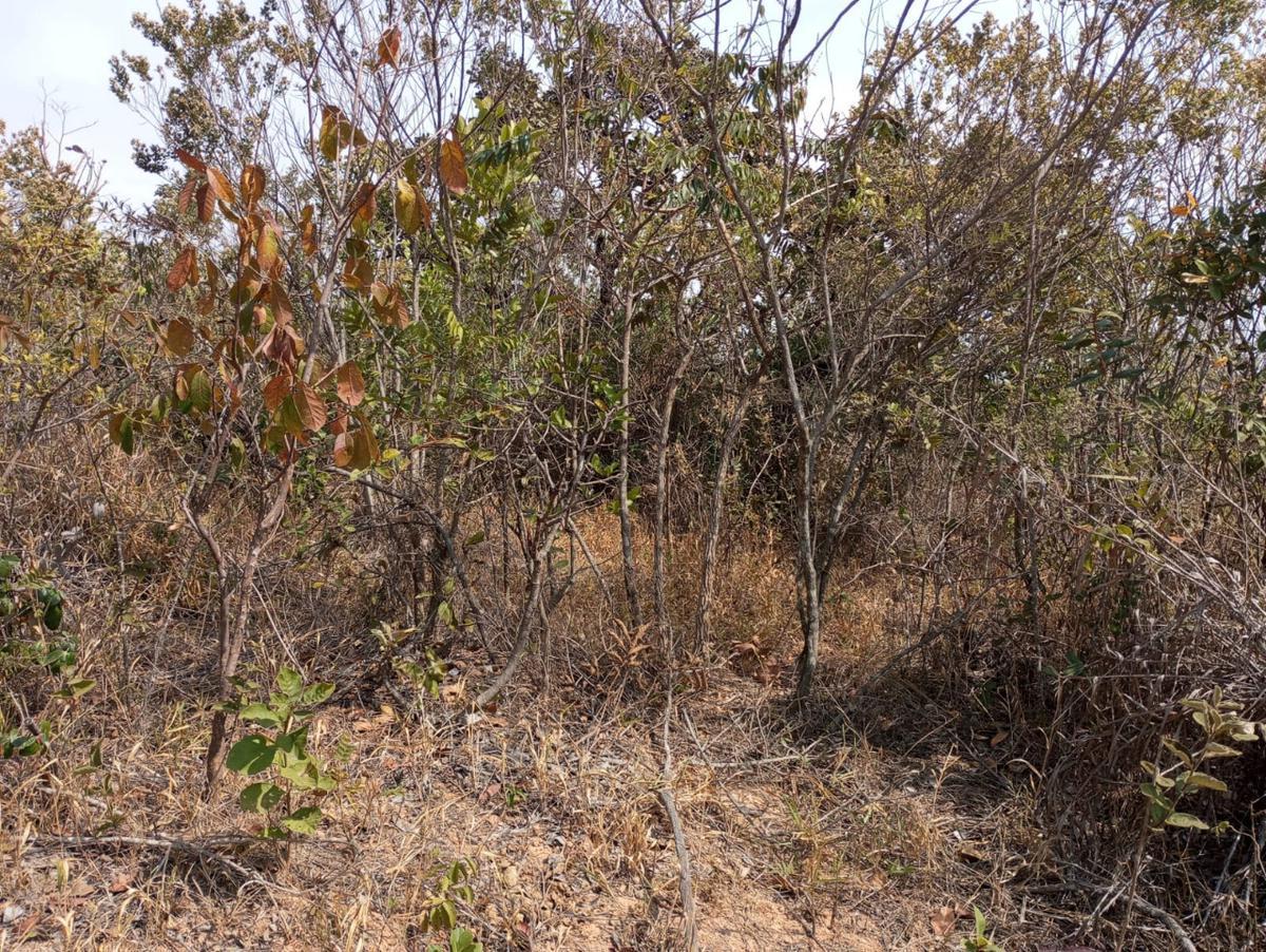 Lote, Zona Rural, 0 Quarto, 0 Vaga