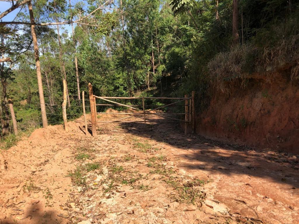 Fazenda, Centro, 3 Quartos, 10 Vagas, 1 Suíte