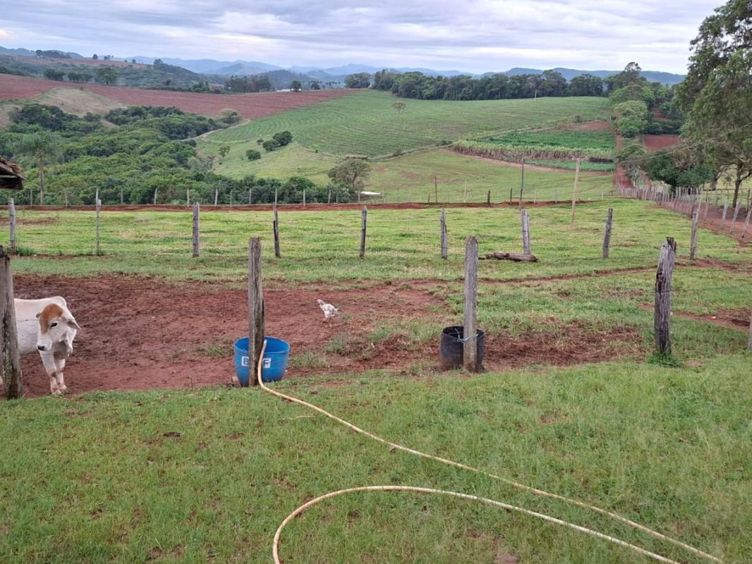 Fazenda, Zona Rural, 0 Quarto, 0 Vaga