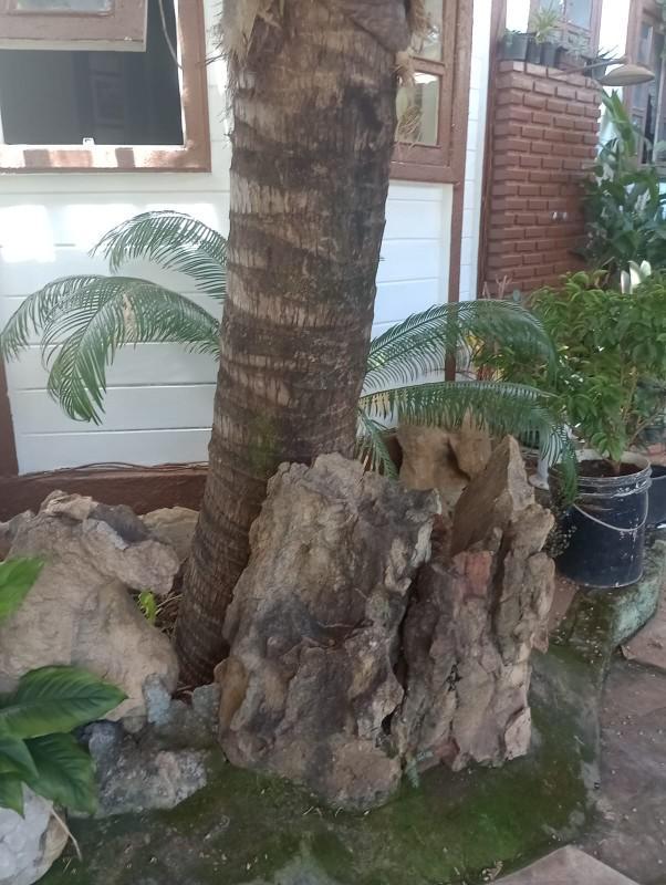 Casa, Ouro Preto, 5 Quartos, 7 Vagas, 2 Suítes