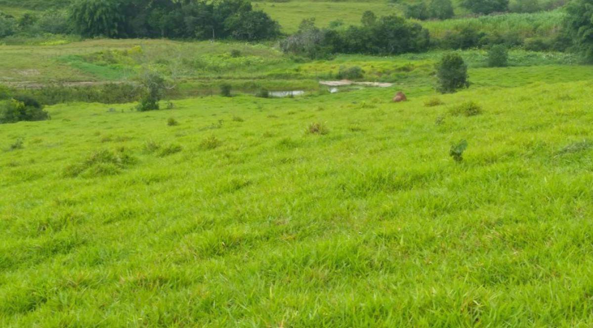 Fazenda, Zona Rural, 0 Quarto, 0 Vaga