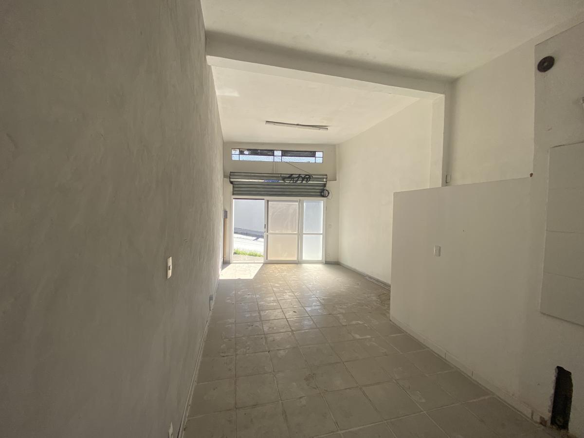 Andar, Floresta, 0 Quarto, 0 Vaga