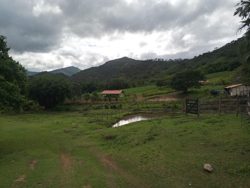 Fazenda, Centro, 3 Quartos, 0 Vaga, 1 Suíte
