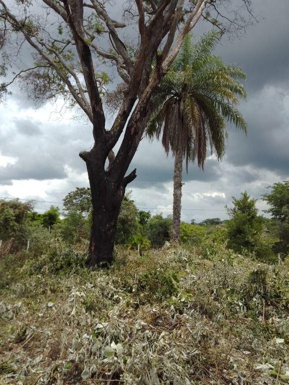 Lote, Ravena, 0 Quarto, 0 Vaga