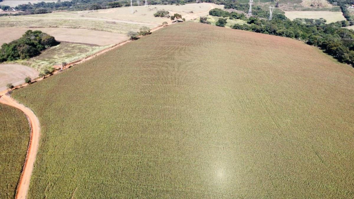Fazenda, Centro, 0 Quarto, 0 Vaga