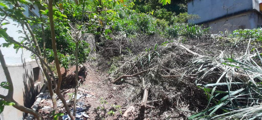 Lote, São José, 0 Quarto, 0 Vaga