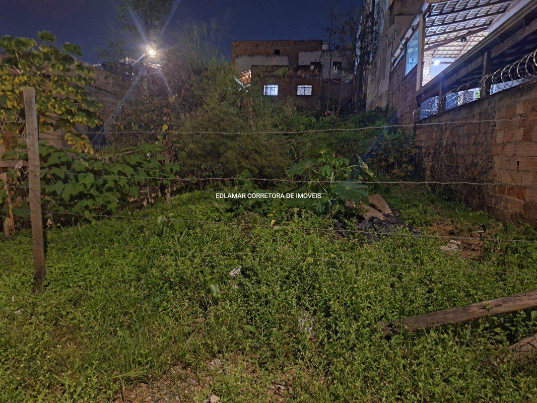 Lote, Palmeiras, 0 Quarto, 0 Vaga