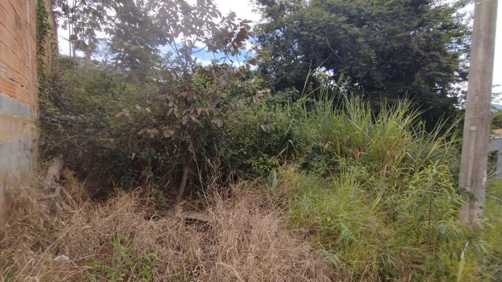 Lote, Paciência, 0 Quarto, 0 Vaga