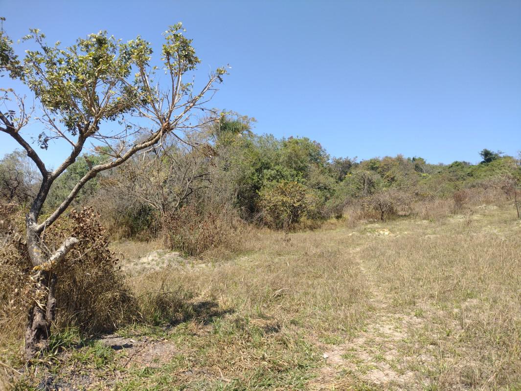 Lote, Chácara São Geraldo, 0 Quarto, 0 Vaga