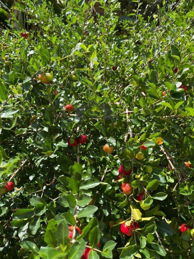 Casa em Condomínio, Condominio Recanto do Beija Flor, 1 Quarto