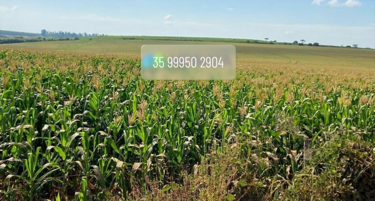 Fazenda, Zona Rural, 0 Quarto, 0 Vaga