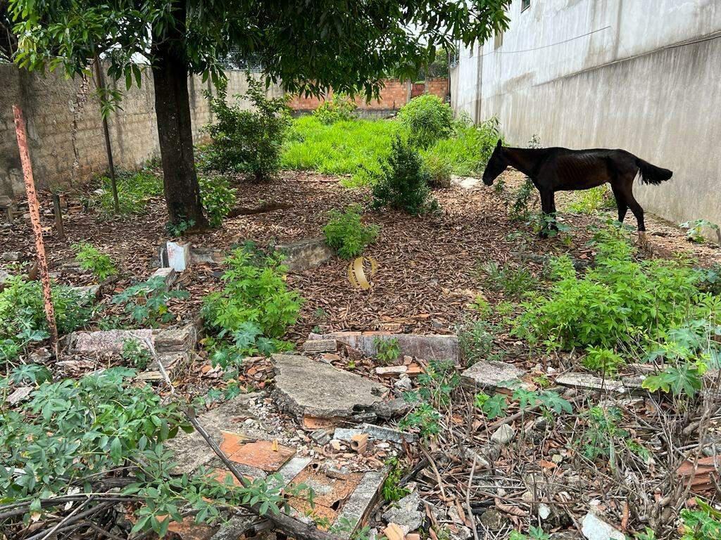 Lote, Indústrias, 0 Quarto, 0 Vaga