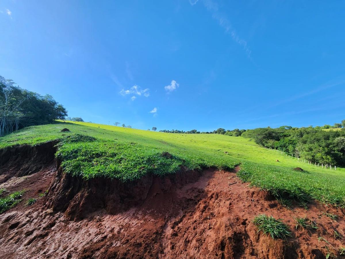 Fazenda, Centro, 4 Quartos, 0 Vaga