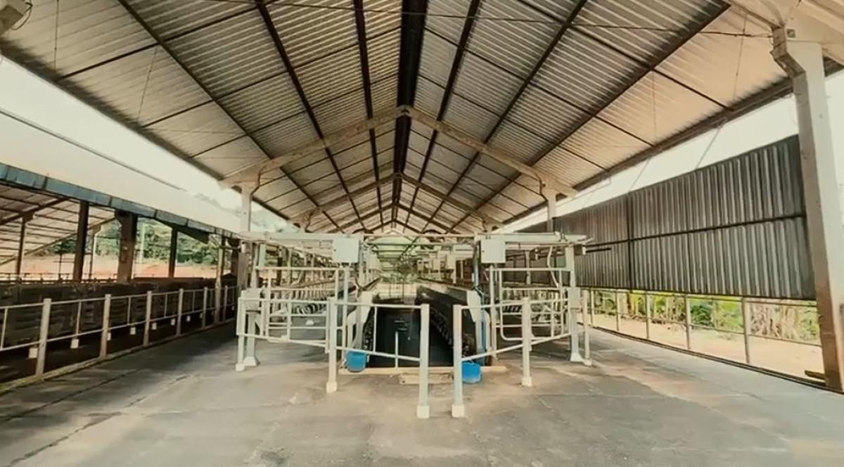 Fazenda, Zona Rural, 0 Quarto, 0 Vaga