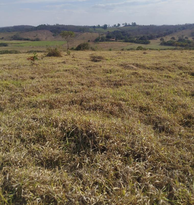 Fazenda, Zona Rural, 0 Quarto, 0 Vaga