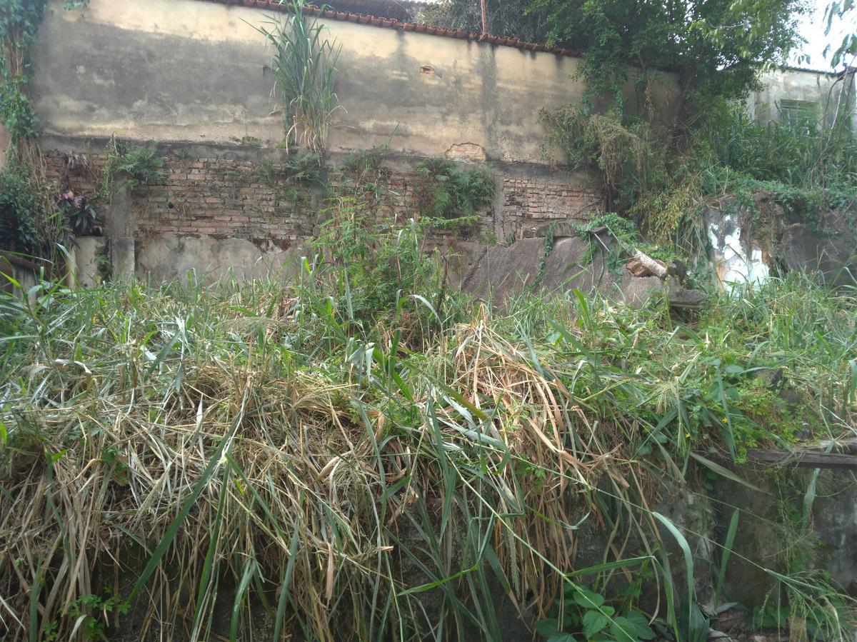 Lote, Graça, 0 Quarto, 0 Vaga