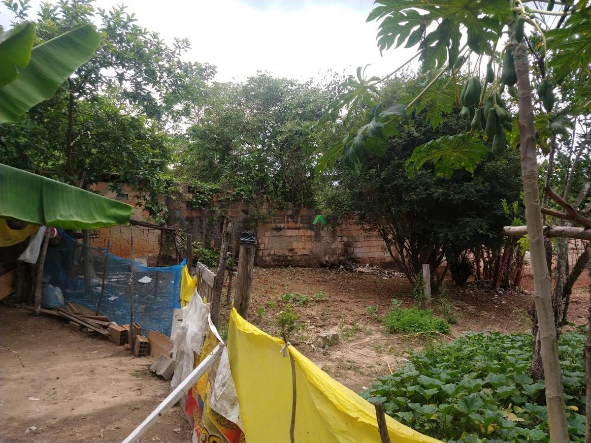Lote, Tropeiros, 0 Quarto, 0 Vaga