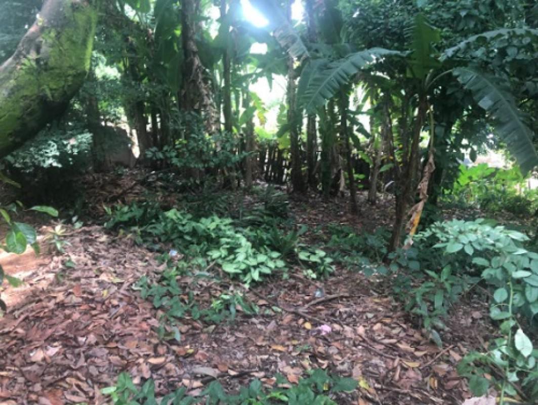Lote, Borges, 0 Quarto, 20 Vagas