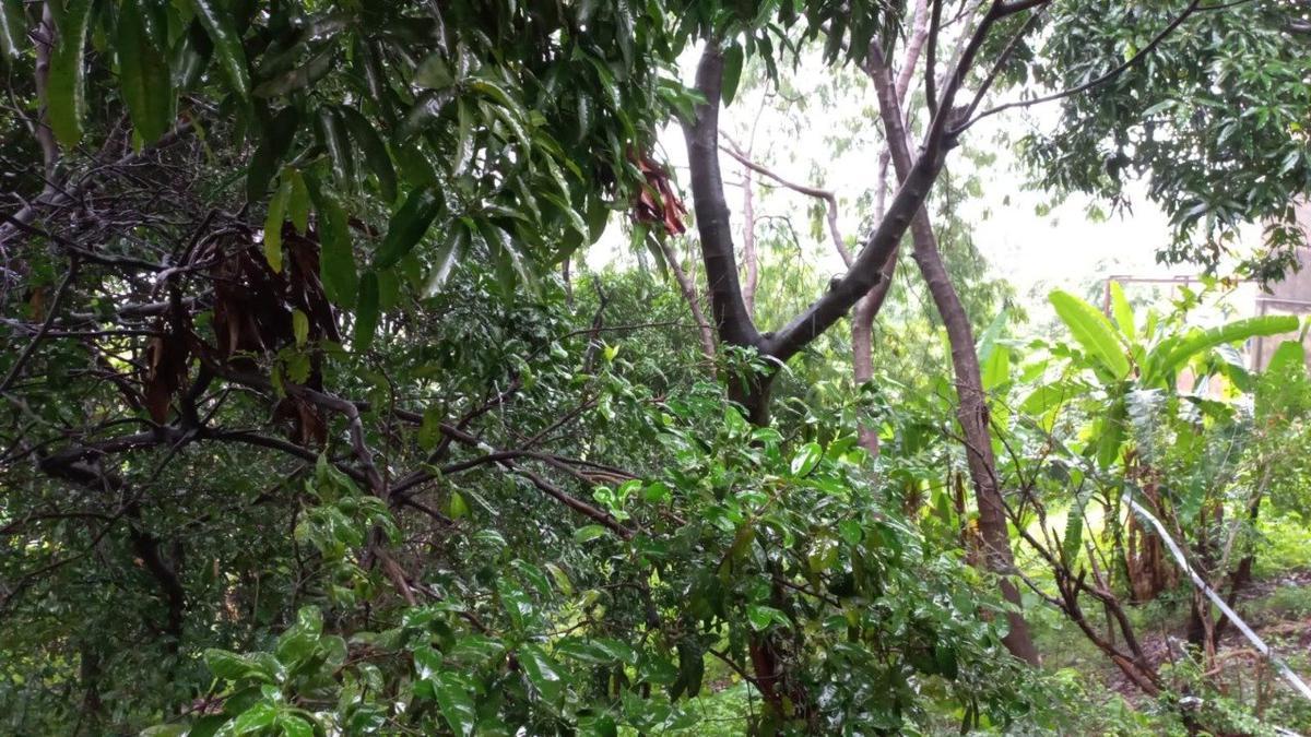 Casa, Jardim Alterosa, 4 Quartos, 2 Vagas, 1 Suíte